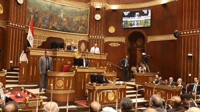 رئيس ثقافة الشيوخ: مصر تمتلك ثروة ثقافية نادرة فى العالم