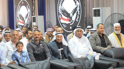 مصر على قلب رجل واحد، اتحاد القبائل العربية يرسم مستقبل العائلة المصرية