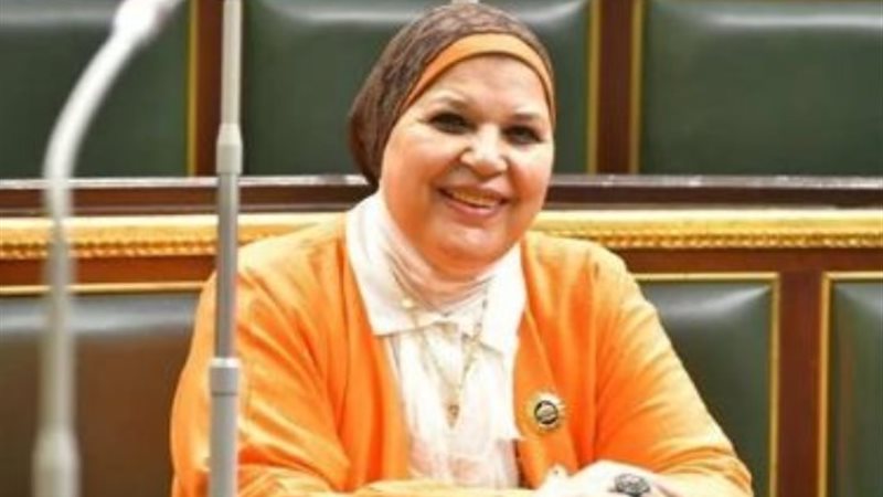 النائبة مايسة عطوة، عضو لجنة التضامن الاجتماعى بمجلس النواب