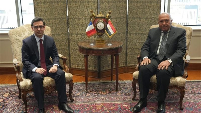 وزيرا خارجية مصر وفرنسا