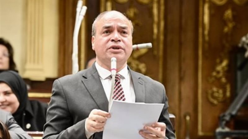 النائب مكرم رضوان عضو لجنة الصحة بمجلس النواب