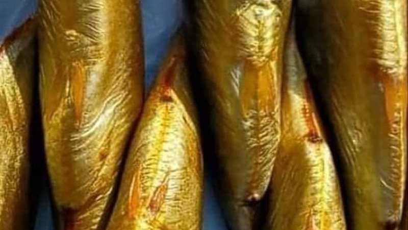 أرشيفة - رنجة