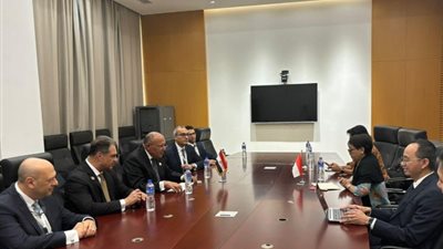 «شكري» يؤكد لنظيره الإندونيسي ضرورة التزام إسرائيل بقرارات مجلس الأمن