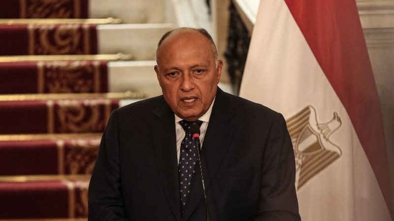 وزارة الخارجية المصرية