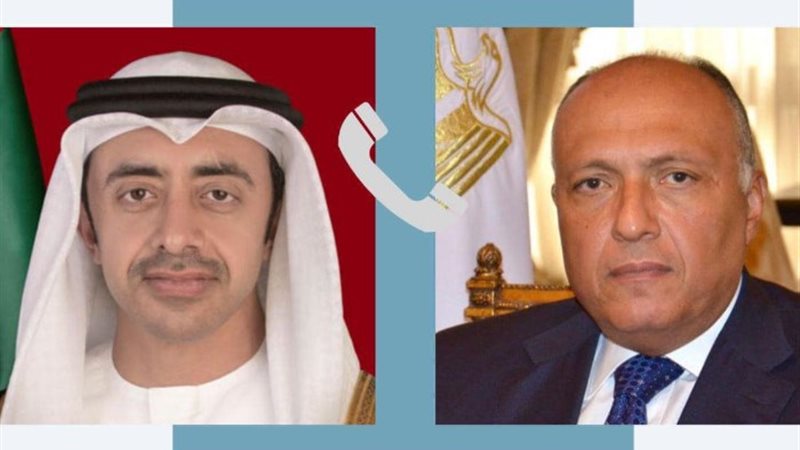 سامح شكري ونظيره الإماراتي