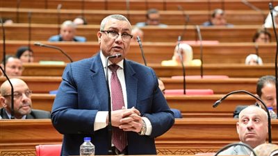 وكيل «خطة النواب» يطالب بإعداد هيكل وظيفي لوزارة البترول