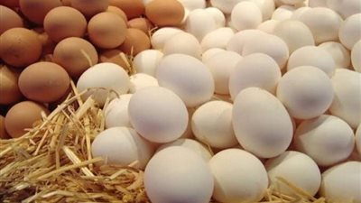 «بلاها فراخ»، تضغط علي البيض والفراخ .. تعرف علي الأسعار الخميس 9-5-2024