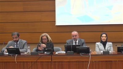 «مشيرة خطاب»: ضرورة توفير الحماية للشعب الفلسطيني وفقا للقانون الدولي