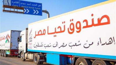 التحالف الوطني: مستمرون في إرسال قوافل المساعدات إلى غزة عبر معبر رفح