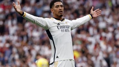 دورتموند يضمن «المكسب» أمام ريال مدريد في نهائي دوري أبطال أوروبا