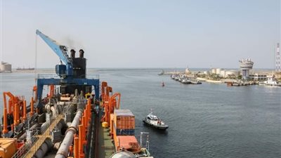 ميناء دمياط يستقبل 2308 رؤوس ماشية و23515 طن قمح خلال 24 ساعة