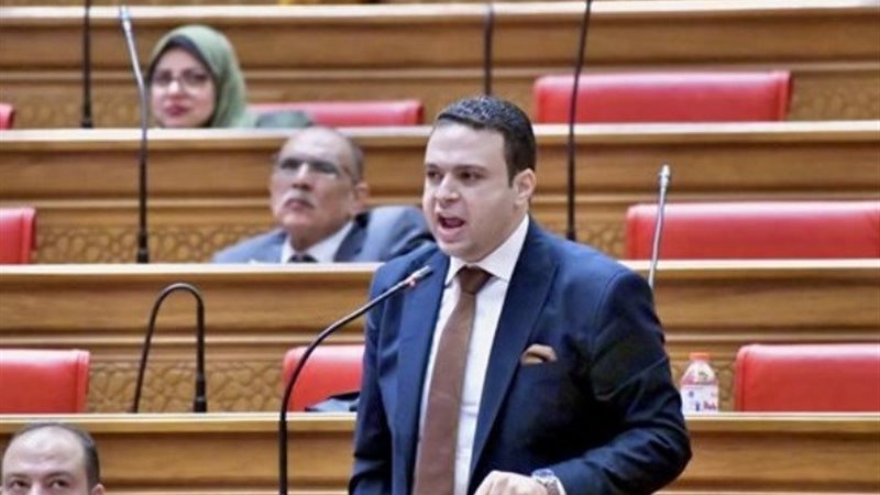 النائب عبد المنعم إمام