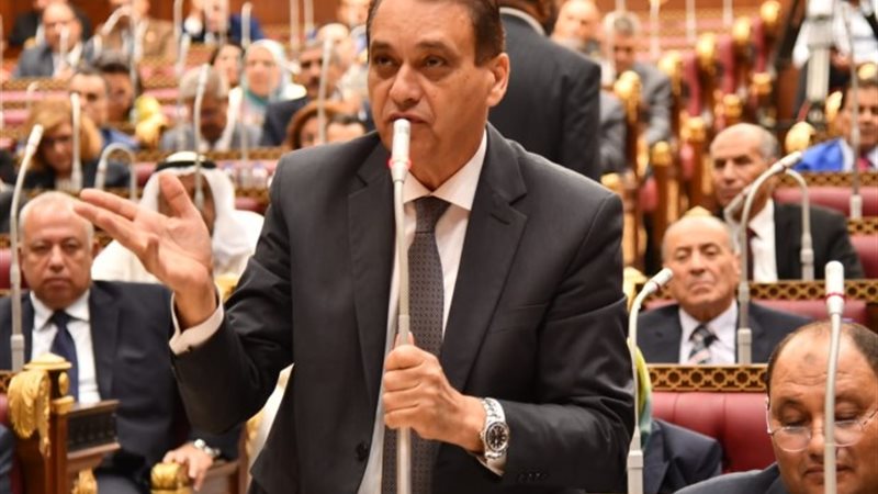 وزير شئون المجالس النيابية