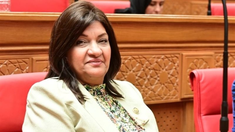 النائبة ايفلين متى