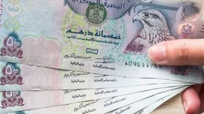 سعر الدرهم الإماراتي أمام الجنيه المصري اليوم الثلاثاء 14-5-2024
