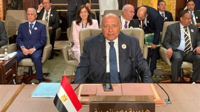 بعد مزاعم غلق معبر رفح، وزير الخارجية: مصر ترفض سياسة ليّ الحقائق