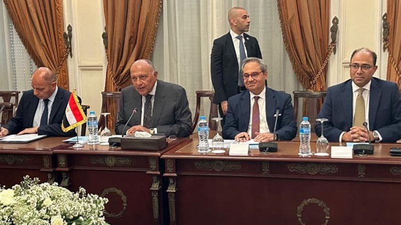 جلسة مباحثات موسعة بين وفدي مصر وسلوفينيا