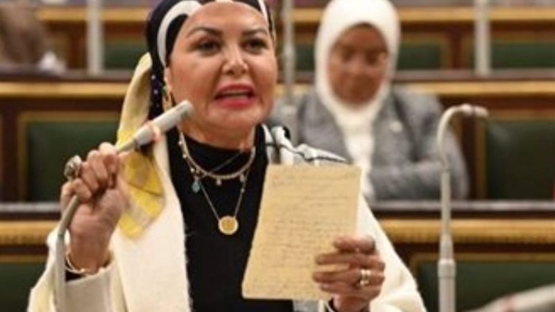 النائبة أمل سلامة
