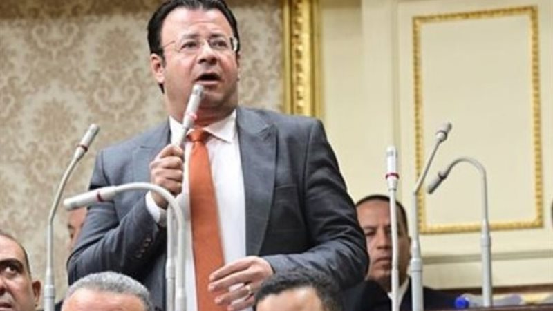 النائب محمود البرعي ، عضو مجلس النواب