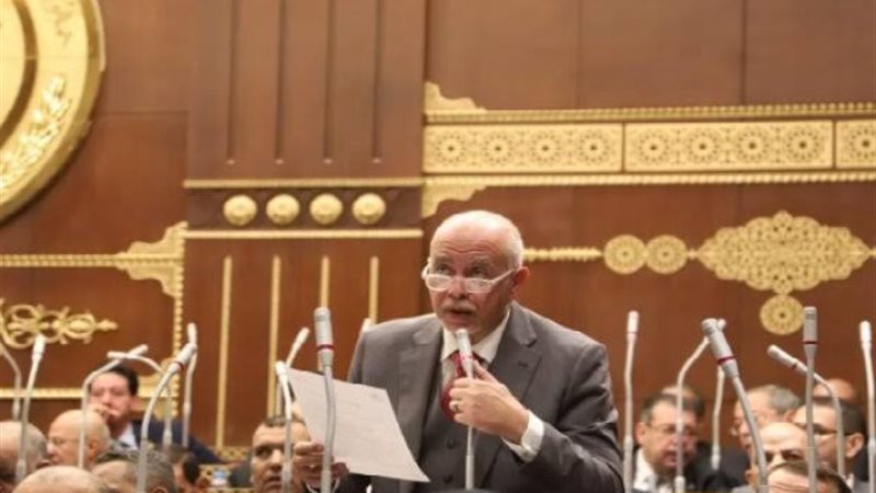 النائب حازم الجندي