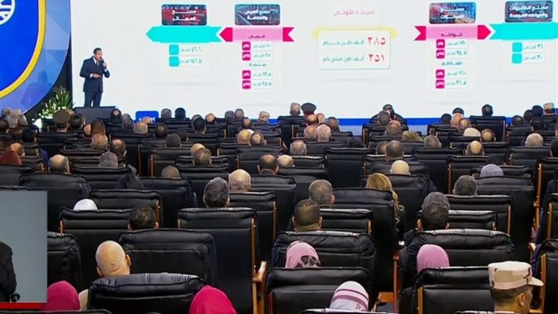 مدير مشروع مستقبل مصر للتنمية المستدامة
