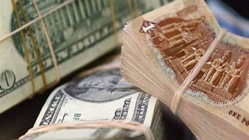 سعر الجنيه المصري