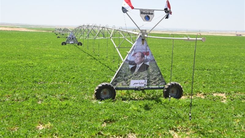 مشروع مستقبل مصر للإنتاج الزراعي