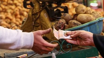 البنك المركزي يحلل أسباب تراجع معدلات التضخم خلال أبريل 2024