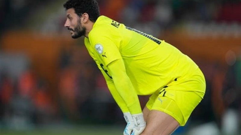 محمد الشناوي