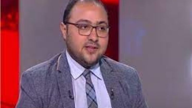 د. محمد شادي، خبير الاقتصاد السياسي