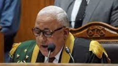 اليوم، استكمال محاكمة 17متهما في قضية «الخلية الإعلامية»