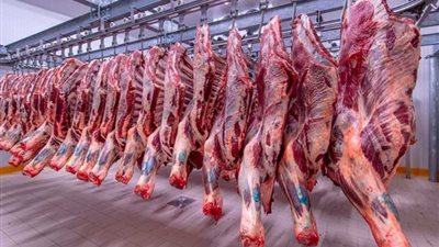 قبل العيد، تحرك جديد في أسعار اللحوم بالأسواق