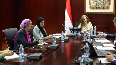 هيئة الاستثمار تبحث توفير تسهيلات للمستثمرين الآذريين بمصر