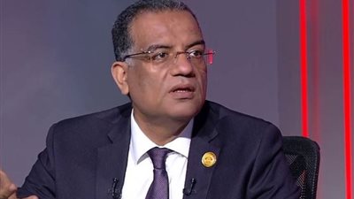 محمود مسلم: مصر تمارس أقصى درجات ضبط النفس مع تجاوزات إسرائيل