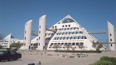 نقيب المعلمين: إنشاء مجلس وطني للتعليم والابتكار لرسم السياسات التعليمية