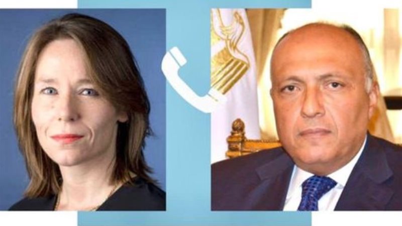 سامح شكري وزير الخارجية