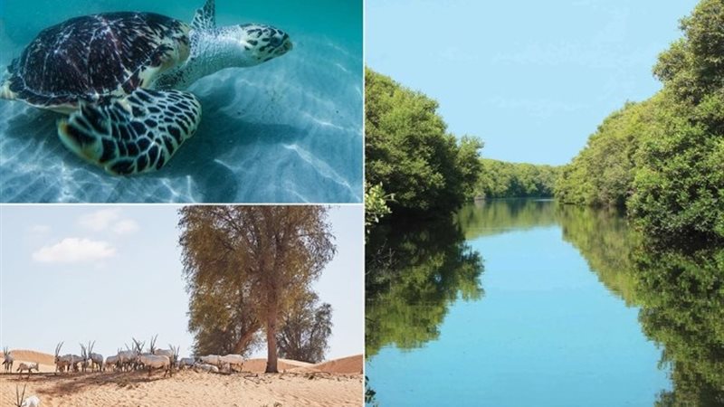 التنوع البيولوجي
