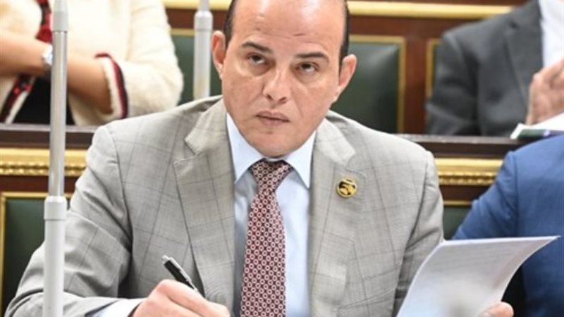 أمين سر اللجنة الاقتصادية بمجلس النواب، النائب عمرو القطامي