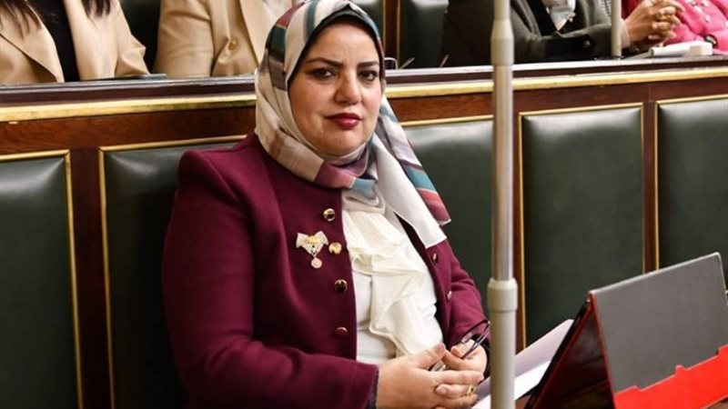 النائبة سلمى مراد عضو لجنة الاقتراحات والشكاوى بمجلس النواب