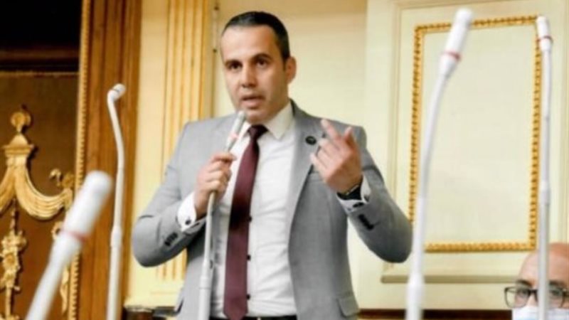 النائب محمد رضا البنا عضو لجنة حقوق الإنسان بمجلس النواب