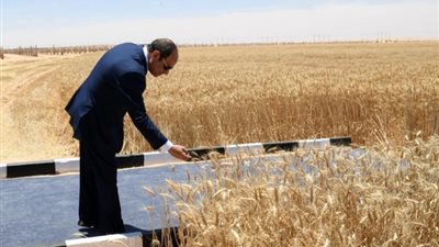 بث مباشر، الرئيس السيسي يشهد افتتاح المشروعات التنموية بجنوب الوادي