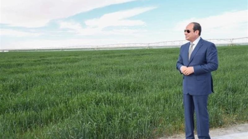 تنمية الزراعة في عهد الرئيس السيسي