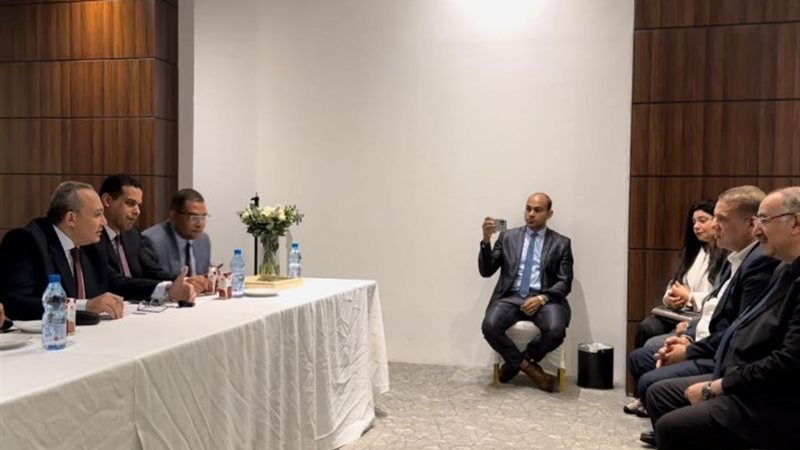 ورشة عمل لعدد من أبناء الجالية المصرية