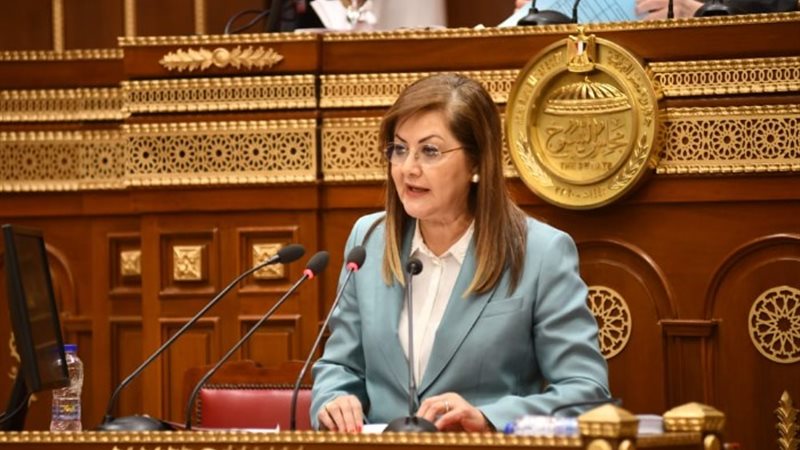 هالة السعيد وزيرة التخطيط والتنمية الاقتصادية