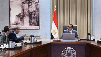 التموين: 3 ملايين طن قمح توريدات موسم الحصاد، وطرح 20 ألف رأس قبل عيد الأضحى