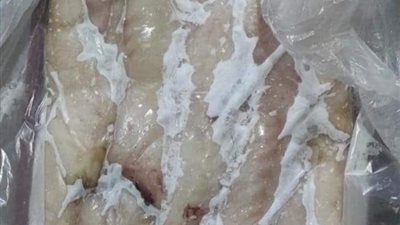 صحة دمياط تضبط 60 كيلو أسماك سامة قبل وصولها للمواطنين