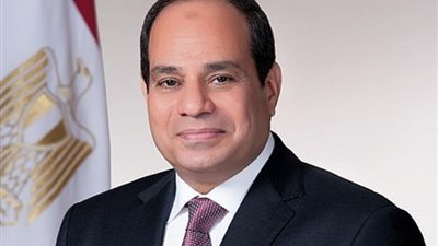 الرئيس السيسي، لا سبيل للوصول إلى السلام إلا بالمعالجة الشاملة للقضية الفلسطينية