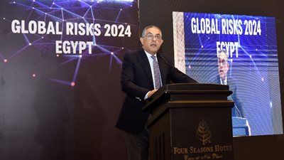 «الاستثمار»: تنوع الاقتصاد ورؤية 2030 يحصنان مصر من المخاطر العالمية