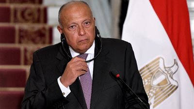 «شكري»: يجب قبول المقترح الحالي لوقف إطلاق النار في غزة وتبادل الأسرى