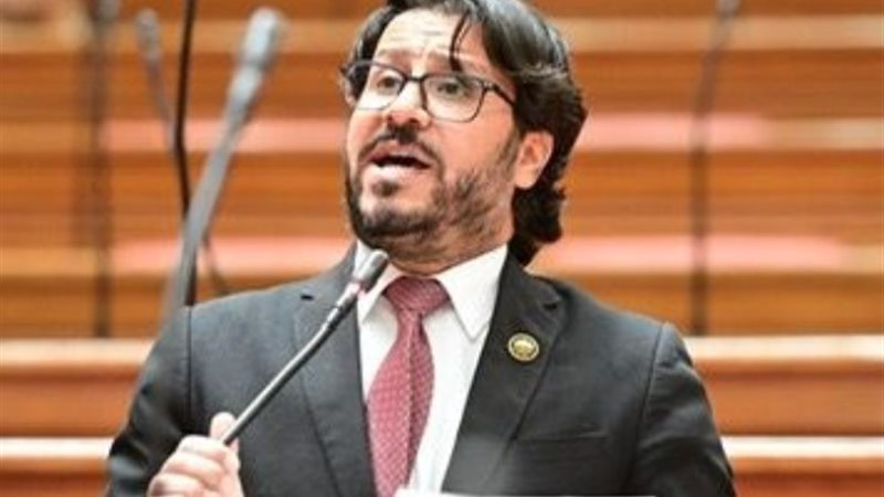 النائب أحمد البرلسي